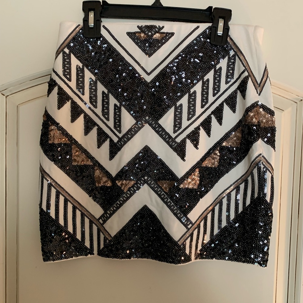 Express Skirt